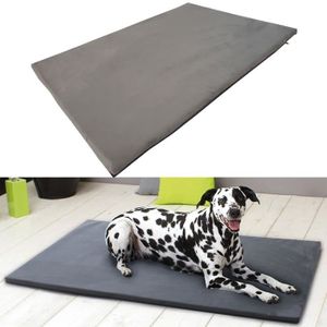 Coussin Chien 80x60 Achat Vente Pas Cher