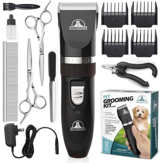 Kit Toilettage Cuir Weaver - 7 Pièces Pour Débutants Avec Sac Bandoulière
