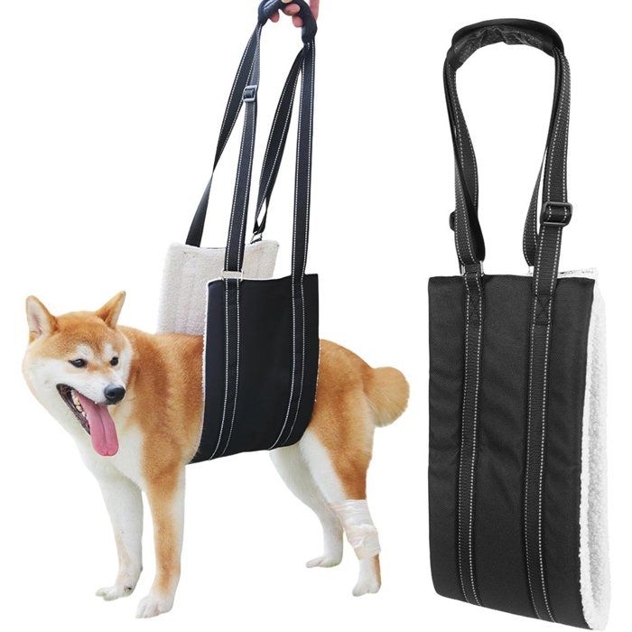 74 x 19 cm - Taille L - Laisse de rééducation pour chien - Sangle de soutien pour le poitrail et le dos - Indispensable pour les 74 x 19 cm - Taille L - Laisse de rééducation pour chien - Sangle de soutien pour le poitrail et le dos - Indispensable pour les