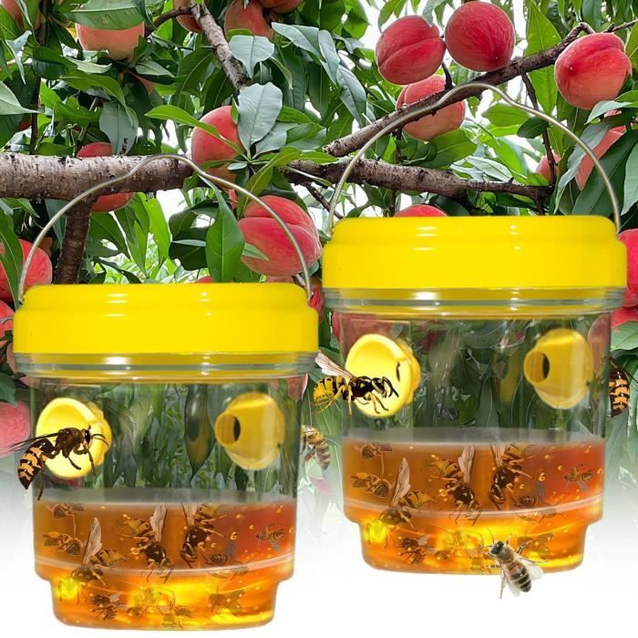 4 Pièces Piege A Guepes Et Frelons Exterieur À Suspendre, Piege Frelon