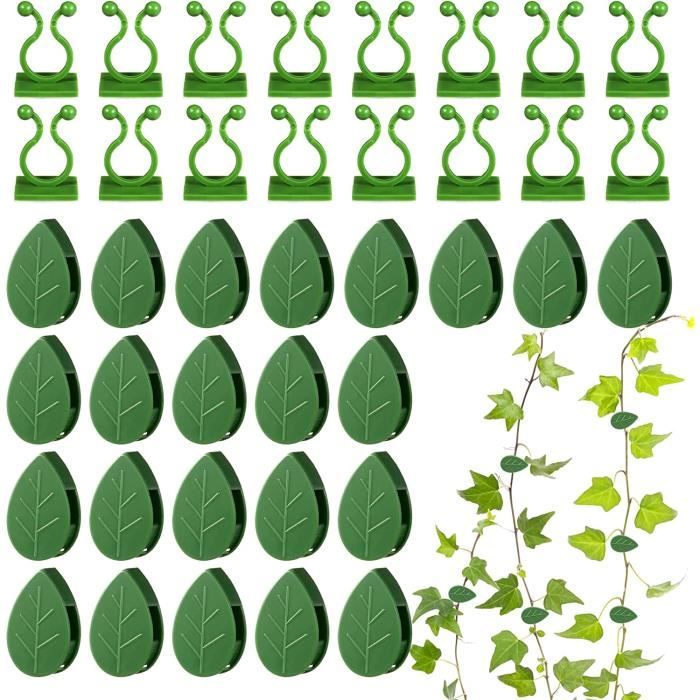 50 Clips Plantes Grimpantes Auto-Adhésifs | Support Vigne Murale Jardin | Plastique ABS Vert