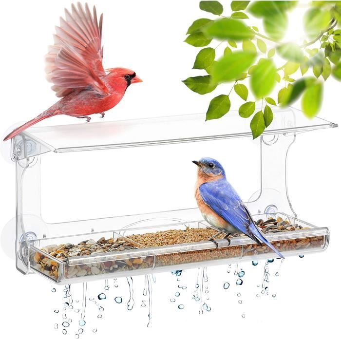 Mangeoire à oiseaux à fenêtre en acrylique transparent avec