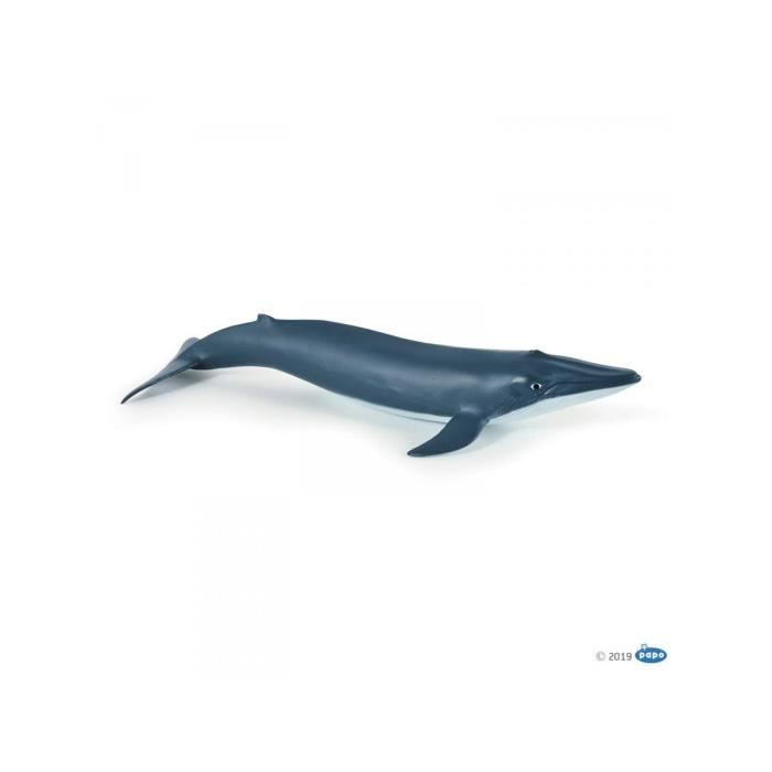 figurine miniature - papo - bébé baleine bleue - enfant - mixte - 3 ans et plus
