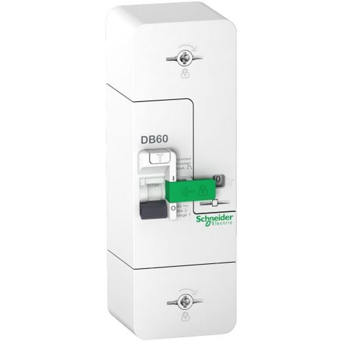 Disjoncteur - SCHNEIDER ELECTRIC - R9FT645 - 1P+N - 500mA - 15/30/45A