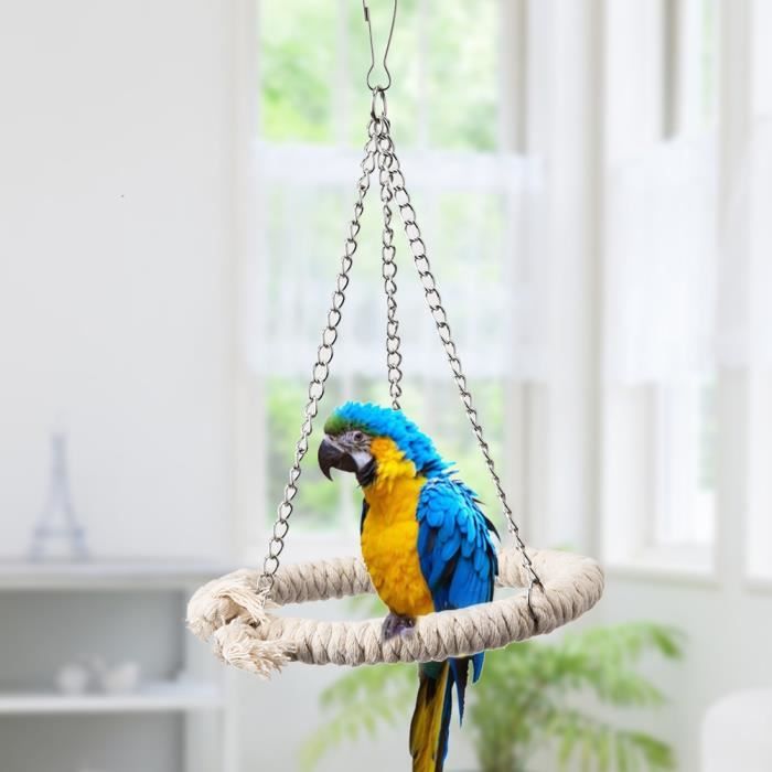 SURENHAP Jouet d'entraînement pour perroquet Jouet perroquet oiseau jouet corde en coton balançoire support animalerie jouet