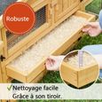 Cage Clapier Enclos lapin Extérieur en bois Haute Qualité pour lapins petits animaux- Modèle : 087 Alpine 180x62x72cm-1