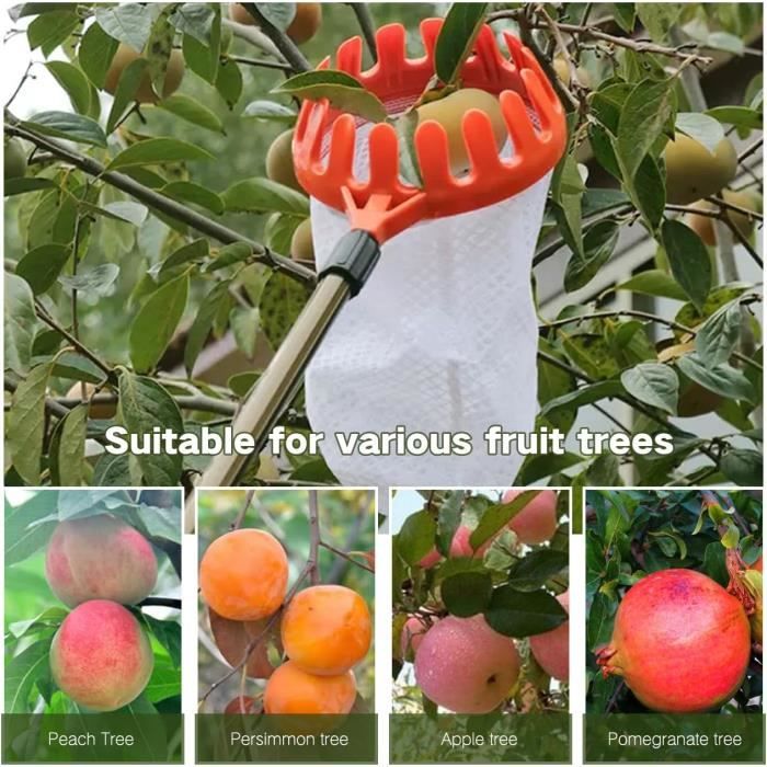 Cueille-fruits Télescopique 4 Mètres - Perche Réglable, Sac Inclus, Pour Verger - 8