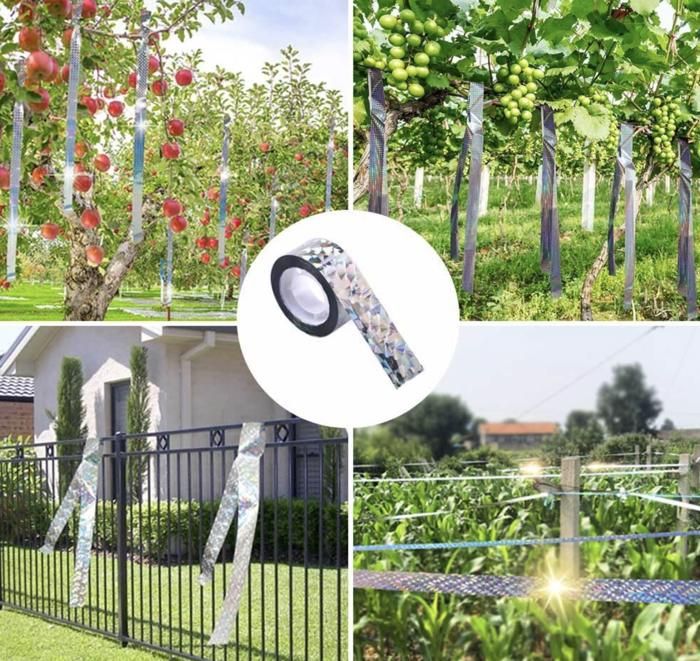 Ruban Répulsif Anti-Oiseaux, 2 Rouleaux De 2,4cm80m Ruban Effaroucheur Oiseaux, Bande Repulsive Anti Oiseaux Pigeon, Bande Holographique Adhésive, Pour Jardins, Vergers