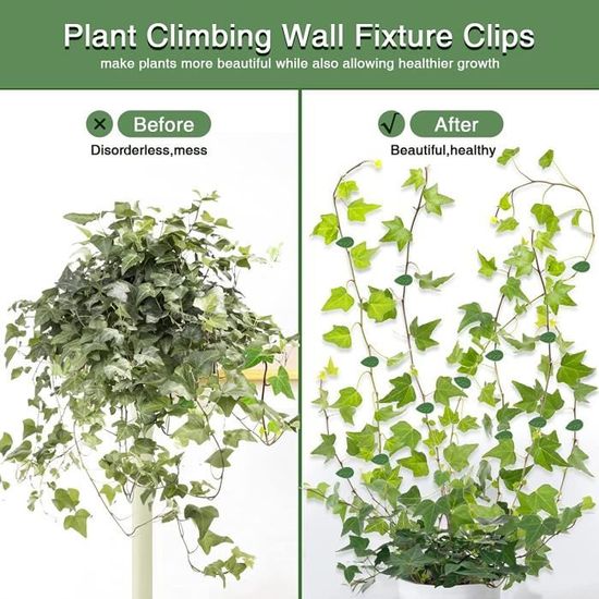Cikonielf Clips De Plantes Clip De Fixation De Plante De Jardin 50