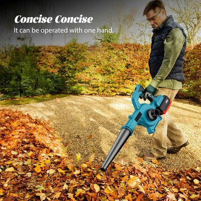 GARLLEN Souffleur à Feuilles Sans Fil 21V Turbo Puissant - 2 Batteries 1.5Ah + Chargeur Rapide, Léger 1.5kg Pour Jardin, Allée Et Voiture