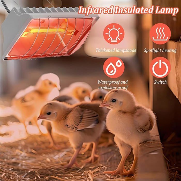 Chauffant Poussin, 250W Chauffage Pour Poulailler Avec Interrupteur