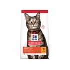 IAMS CHIEN Hill's Science Plan Feline Adult Croquettes Poulet 10kg