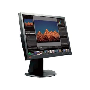 ECRAN ORDINATEUR Ecran Lenovo ThinkVision L2440P 24