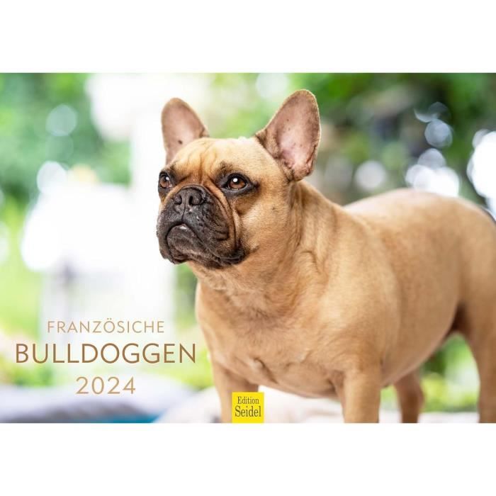 STVNKML Tablier De Cuisine Avec Grande Poche Pour Femme Motif