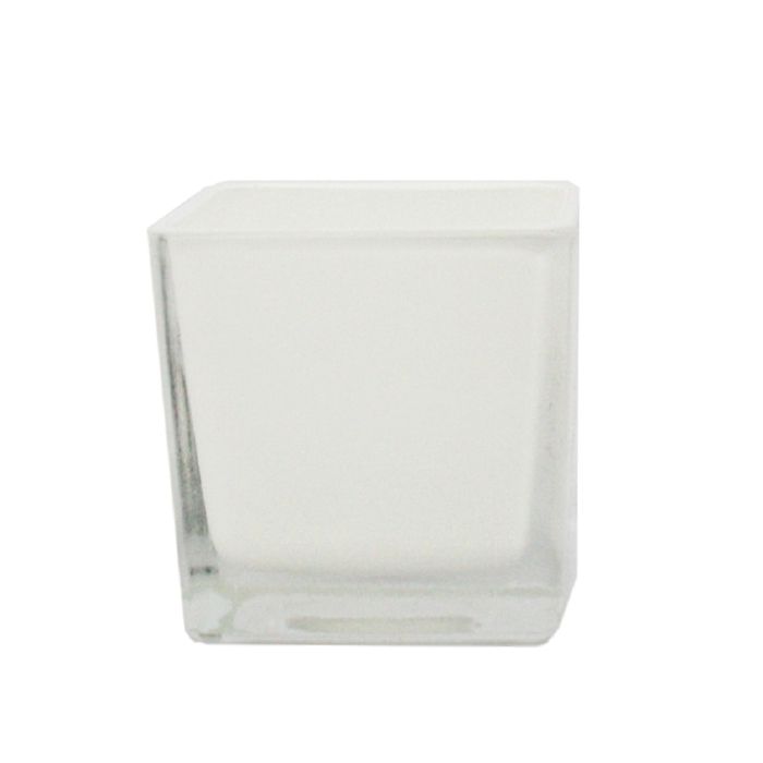 KALANCOE COLORI ASSORTITI in vaso 12 centimetri