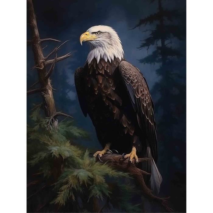 Kit Diamond Painting 5D Fai Da Te 30x30 Cm | Aquila Disegno Animale Con Strass Rotondi