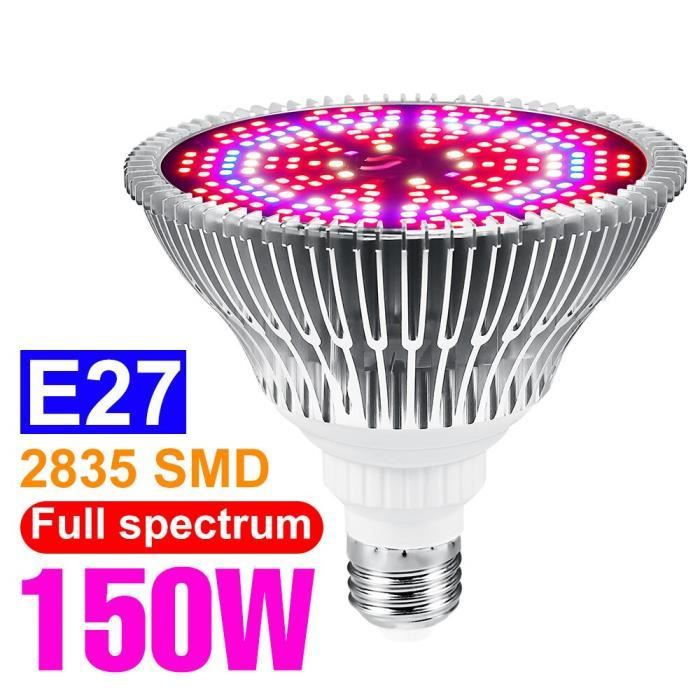 Lampe Horticole LED 65W 240 LEDs Spectre Complet - Minuterie Auto Pour Plantes D'Intérieur