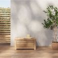 Coffre de jardin TERA en bois d'acacia blanchi 60x45x29 cm-1