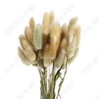TD® Fleurs séchées de couleur naturelle et originale Bouquet de vraies fleurs Décoration intérieure Queue de lapin 50 pièces