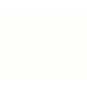 Papier Peint Blanc Granuleux Papier Peint Uni Rouge Andalou 10 Ml X 0 53 M Achat Vente