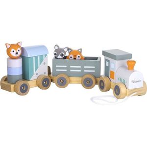 Train Bebe Cdiscount