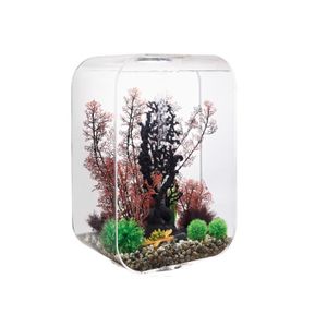 AQUARIUM Oase Aquarium 60l contours transparent - Life 60 M