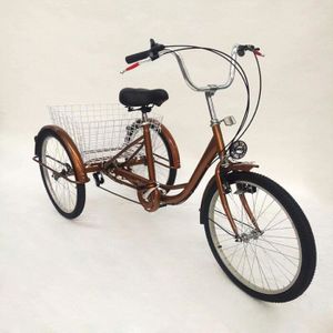 TRICYCLE 24 pouces 6 vitesses Tricycle 3 roues pour adulte 