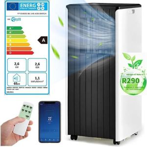 CLIMATISEUR MOBILE RELAX4LIFE Climatiseur Mobile 9000BTU Silencieux 4 EN 1 | Commande Smart App | Minuterie 24H | 2,6KW pour 20㎡ [Classe énergétique A]