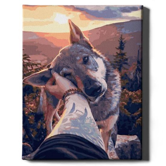 TISHIRON Peinture Par Numéros Yin Yang - Renard Et Loup - Kit Toile 40x50cm Sans Cadre - Avec Pinceaux Et Peinture Acrylique - Pour Adultes Et Enfants