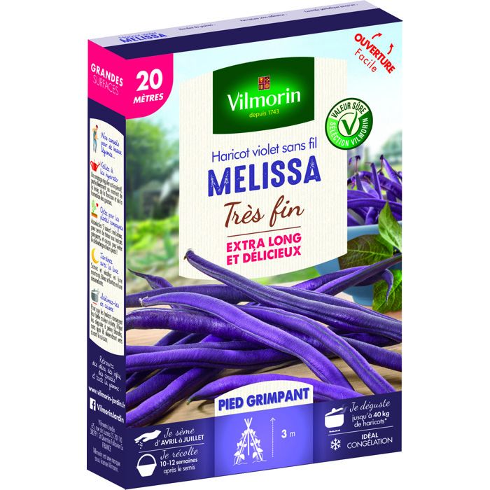 VILMORIN Graines de haricot mélissa à cosse violette - 20 M