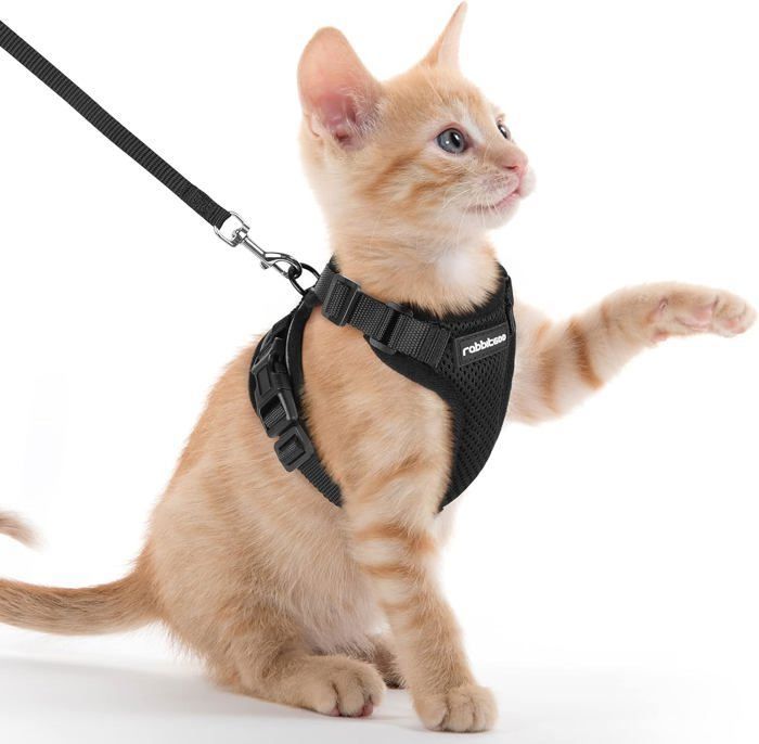 Comparer les prix de Harnais Chat Anti-évasion avec Laisse Noir XXS Harnais Chaton Petit Chien Réglable Collier Harnais et Laisses pour Lapin Chat Chiot