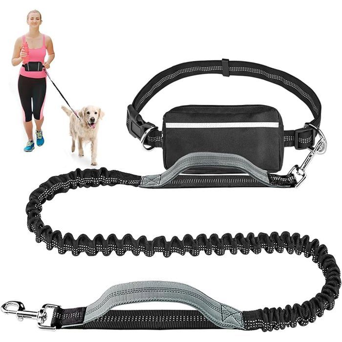 Laisse Pour Chien Main Libre