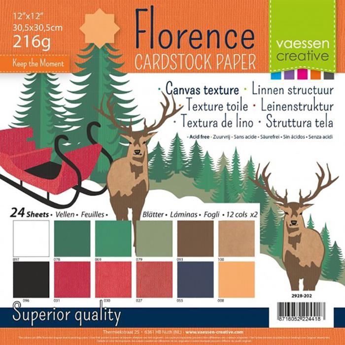 Lot De 24 Feuilles Papier Scrapbooking Noël 30,5x30,5 Cm - Motifs Double Face, 24 Designs - 2