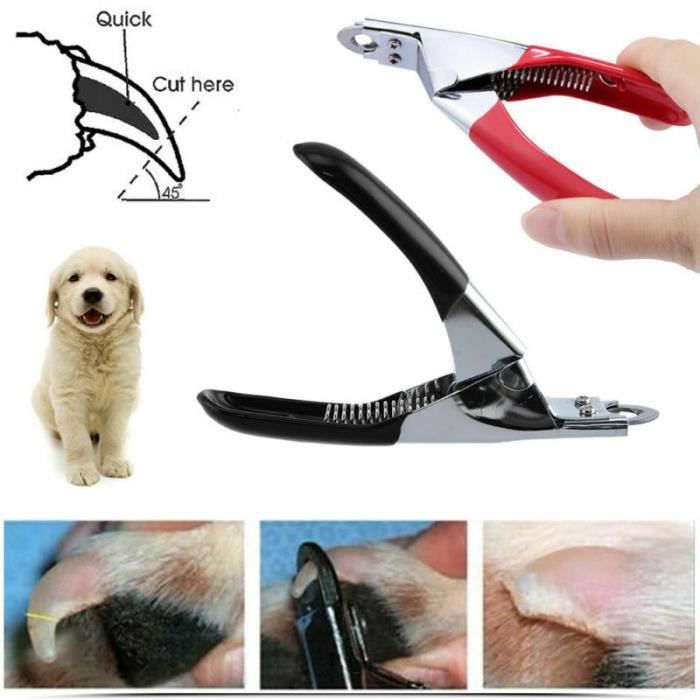 Coupe Griffe Ongle Professionnel Pour Chien Chat Coupe Ongles De Chien Coupe Ongles Vertical Pour Animaux De Compagnie Noir Cdiscount Coupe Griffe Ongle Professionnel Pour Chien Chat Coupe Ongles De Chien Coupe Ongles Vertical Pour Animaux De Compagnie Noir Cdiscount