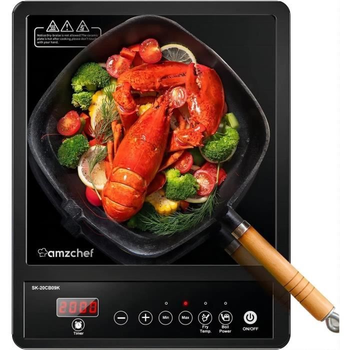 Plaque de cuisson à induction portable 1800 W Brûleur de comptoir 9 niveaux de température Plaque de cuisson à induction portable 1800 W Brûleur de comptoir 9 niveaux de température