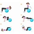 ballon de grossesse, ballon de fitness, ballon déquilibre, pilates d. 65 cm en pvc anti-éclatement (rose)-1