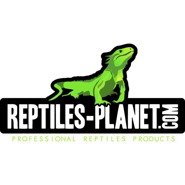 Reptiles-Planet Petit bassin mangeoire noir en plastique S
