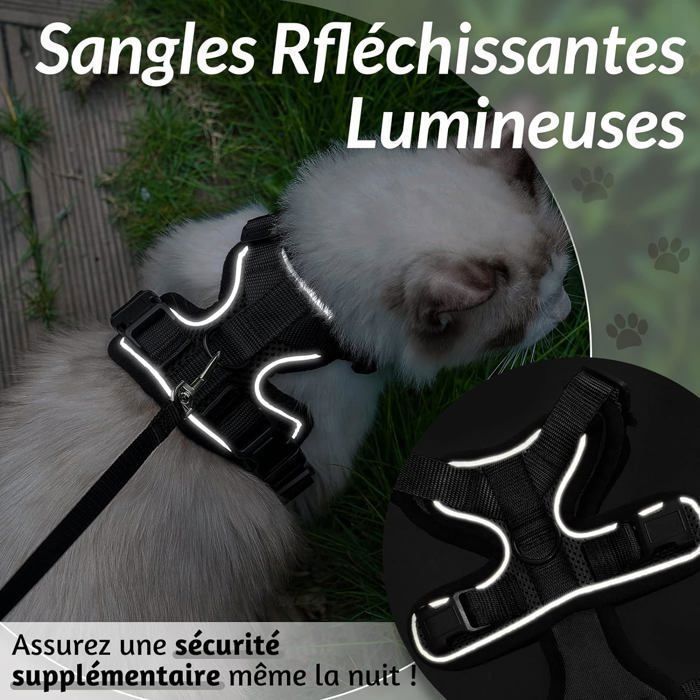 Harnais Pour Chat Avec Laisse – Anti-évasion, Réglable Et Réfléchissant – Taille M, Gris - 7