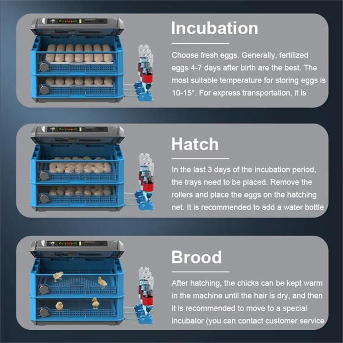 Incubateur Automatique Pour œufs 10-36 œufs - Retournement Auto, Contrôle Humidité/température, Mire Intégrée - 6