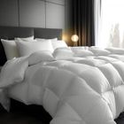ALPES BLANC - Couette naturelle hiver 360 g/m² 240x220 cm - 30% duvet, 70% plumes – Chaude et gonflante - Fabrication française