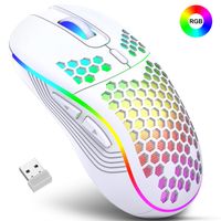 Souris Gamer Sans Fil USB Rechargeable 2,4G Nano DPI Réglables Ultra Léger - Blanc
