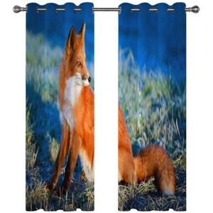 Rideau Renard Cdiscount