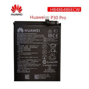 Batterie téléphone Batterie Huawei P 30 Pro