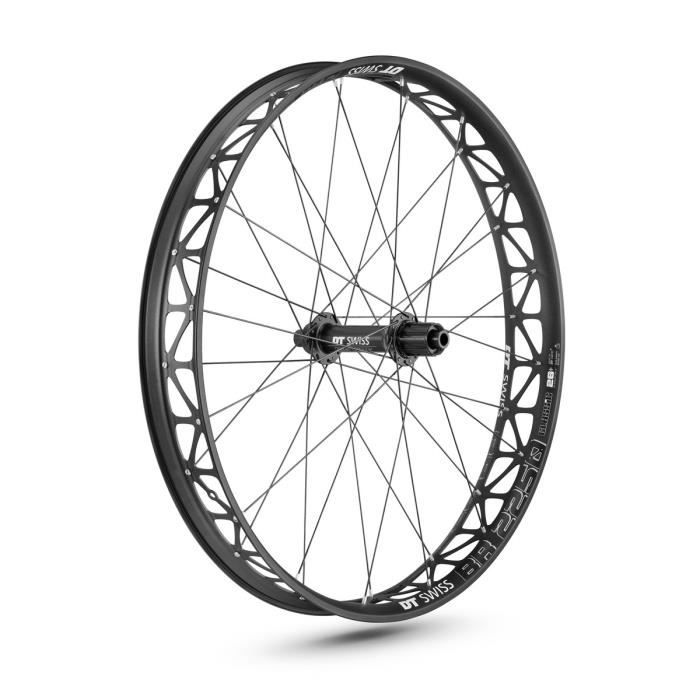 DT Swiss BR 2250 Classic Fatbike - Roue - 26- roue arrière alu 197/12 mm noir