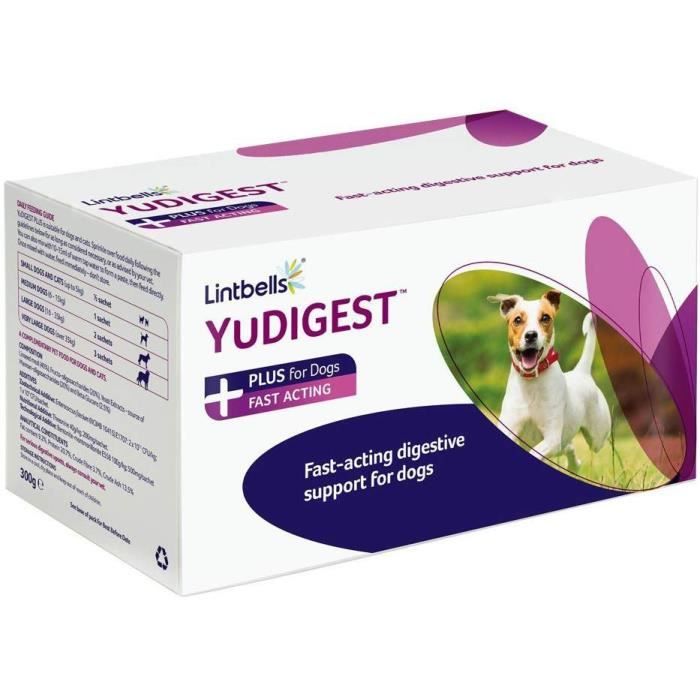 Lintbells YuDIGEST Plus - Sachet de 60