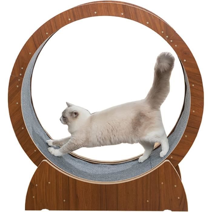 Roue Chat Roue d