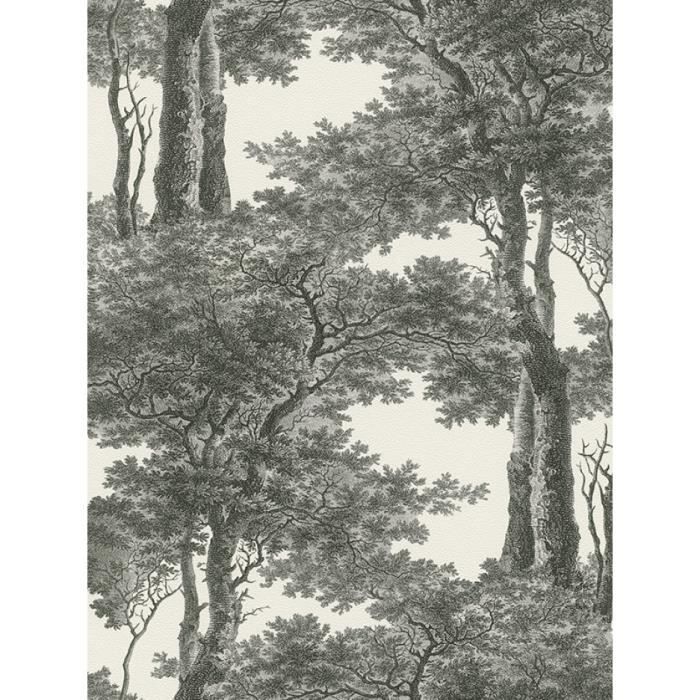 Téléchargement gratuit Images Passepartout Arbres Papier Peint Noir Et Blanc Rasch 605419 le plus cool salutations