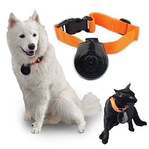 Camera Cachee Espion Pour Chien Et Chat Camera Collier Espion Cat Videocam Achat Vente Camera Miniature Cdiscount