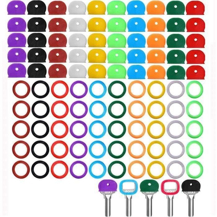 Lot De 100 Porte-clés Avec Étiquettes - 5 Couleurs Assorties (Noir, Rouge, Jaune, Bleu, Vert) - Identification Facile