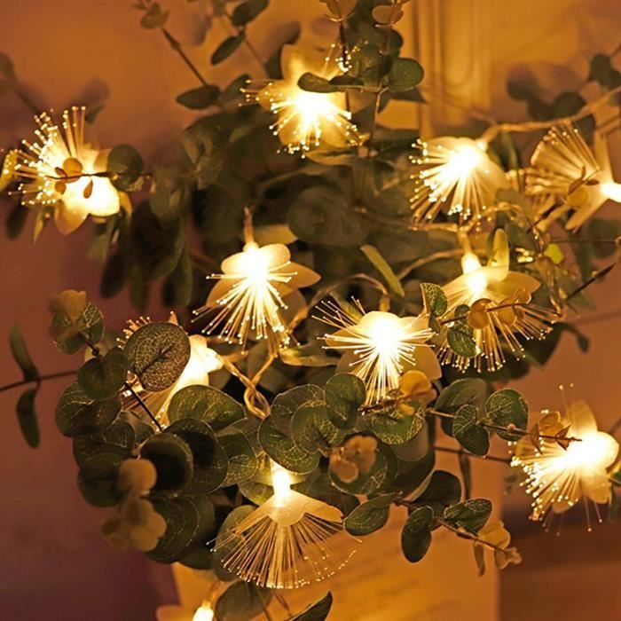 Kentop Guirlande de noël lumineuse Guirlande lumineuse à piles 2M 10 LED  Décorer chambre, mur, jardin, sapin de Noël (Blanc chaud) - Cdiscount Maison